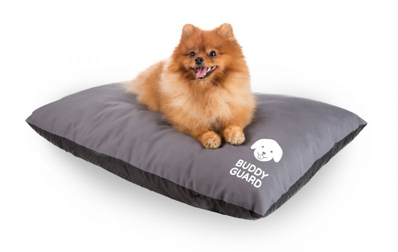 Buddyguard tyyny S, 65 x 50 cm harmaa